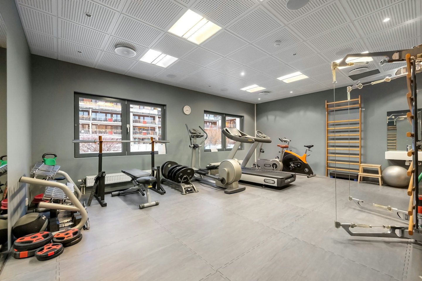 Modern gym with treadmills, bikes, and weights neatly arranged.